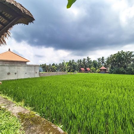 Villa Padi Menari Убуд Екстериор снимка