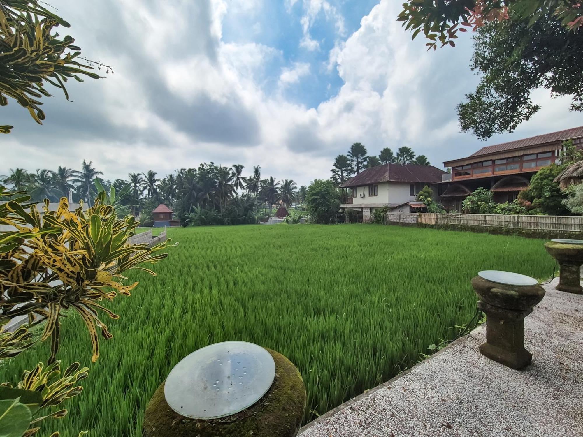 Villa Padi Menari Убуд Екстериор снимка